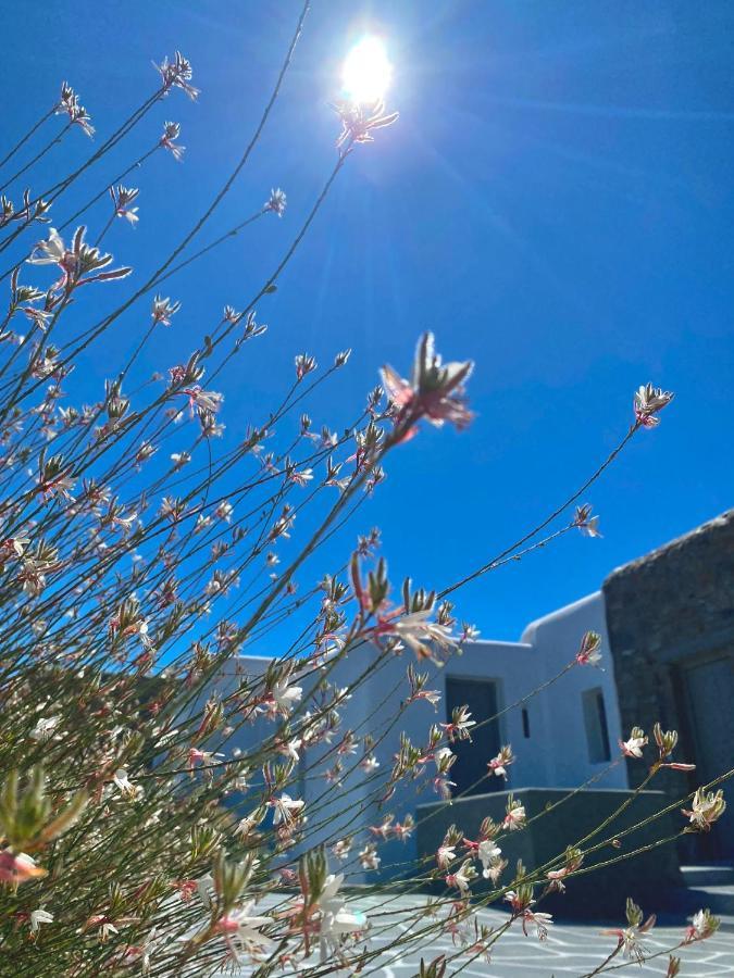 Aegean Hospitality Bed & Breakfast Mykonos Town Exterior photo